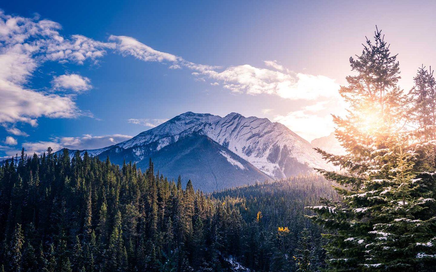 mountain landscape over alberta forest with snow on top